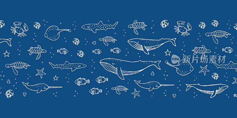 Hand drawn marine animals on blue background. Vector illustration